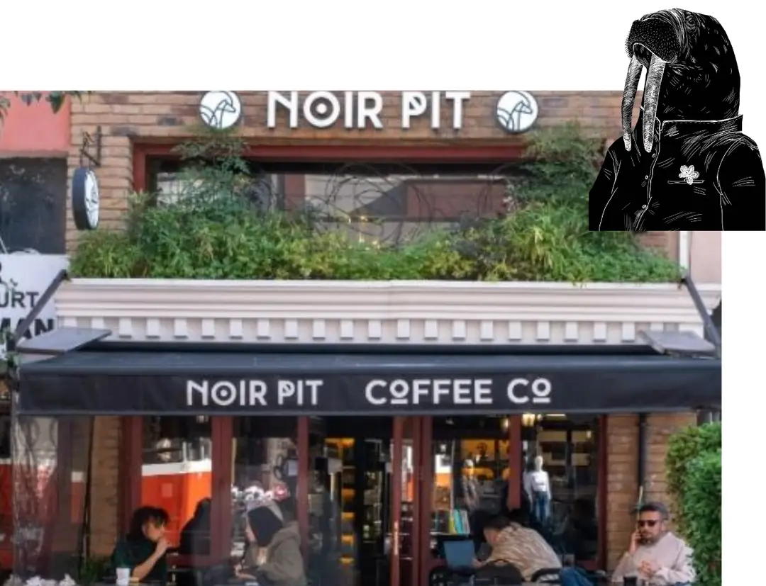 Noir Pit Moda