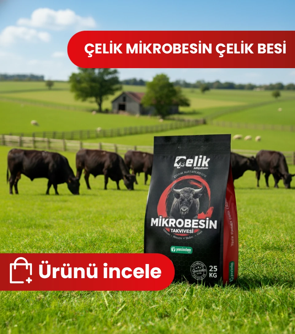 Çelik Besi thumbnail image