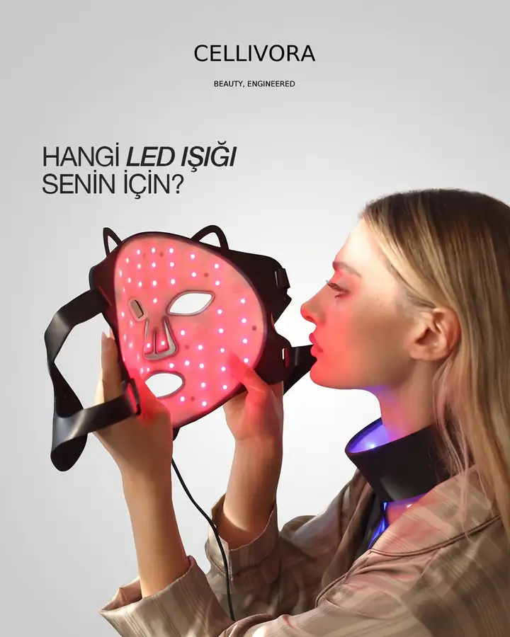Hangi LED ışığı sizin için?