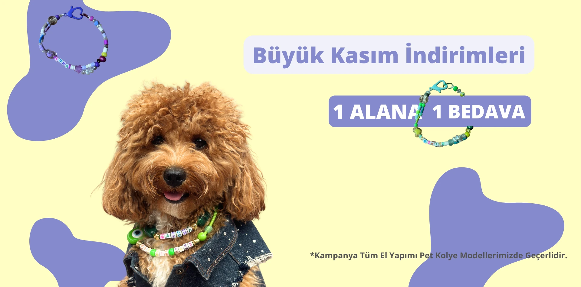 pet-kolye-toy-poodle