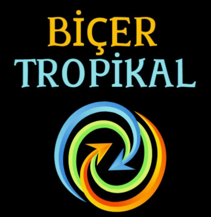 footer-logo