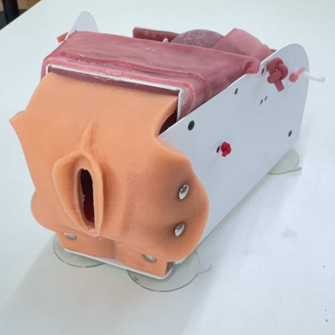 Vnotes Training Model