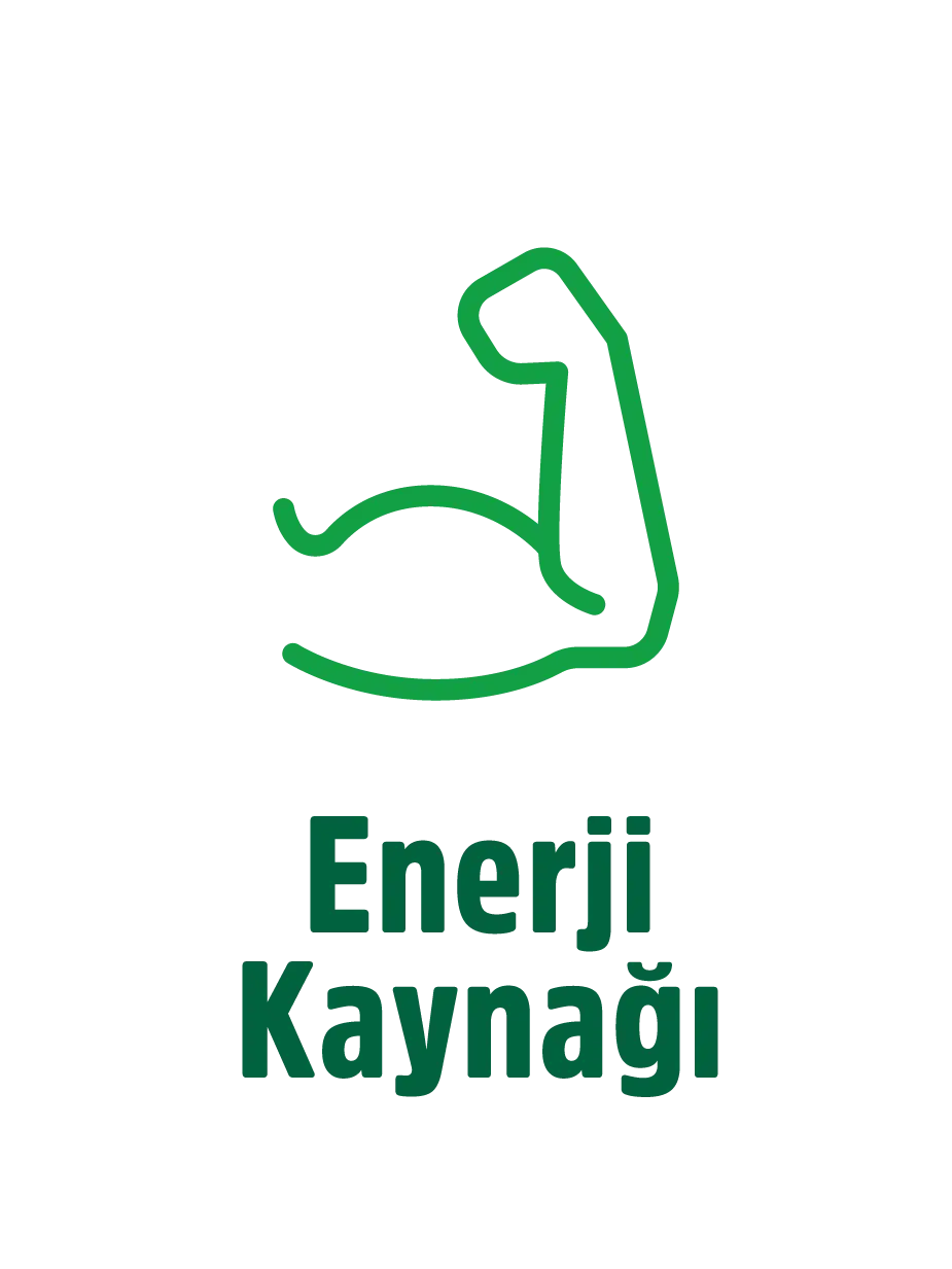 Enerji Kaynağı