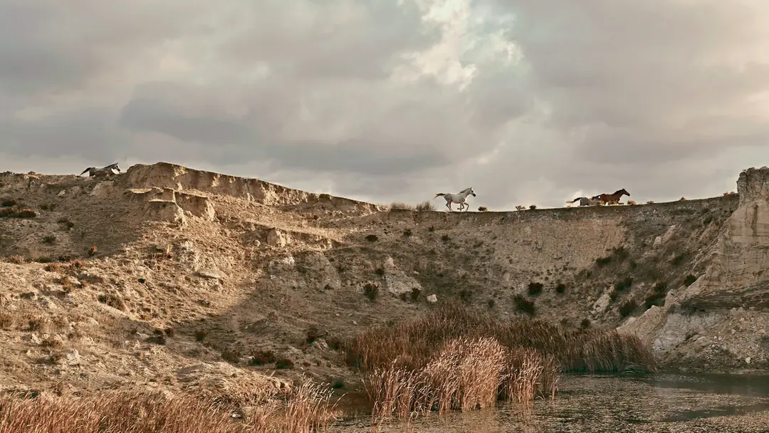 Sonbahar Kış 23'