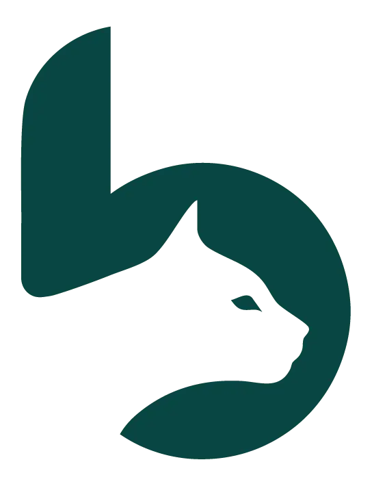 footer-logo