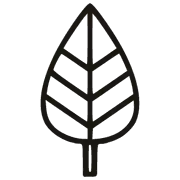 Ethical Sourcing