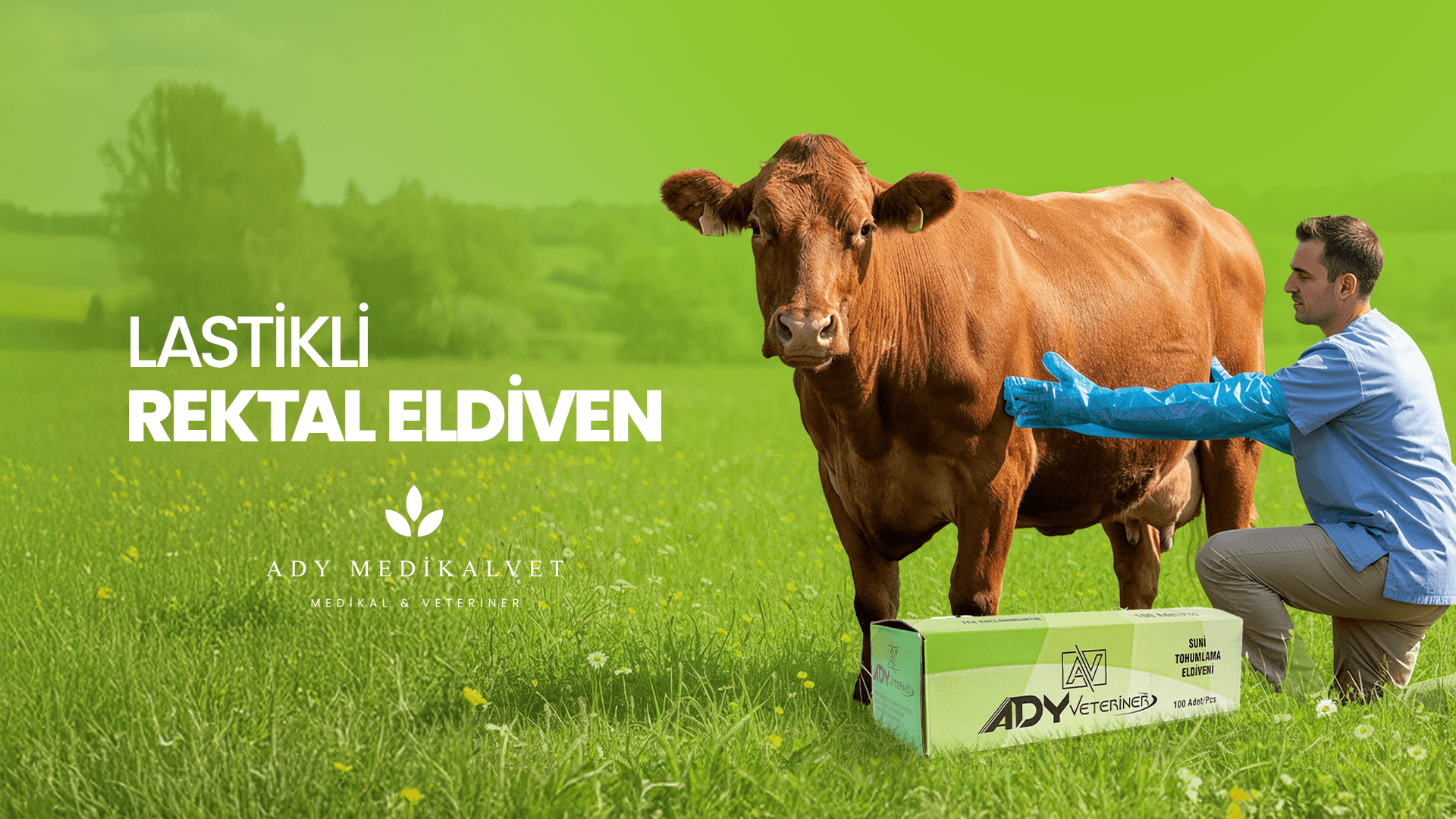 ady-tohumalama-rektal-eldiven