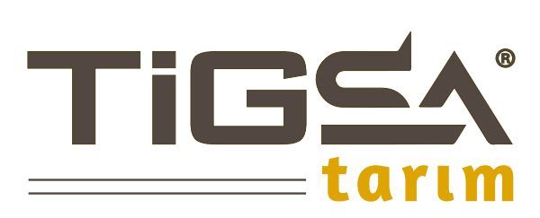 Tigsa