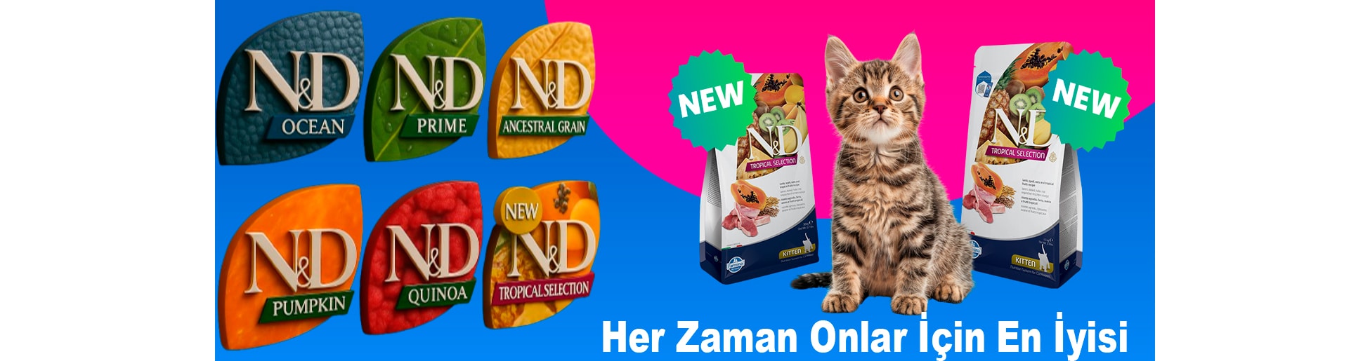 nd kedi