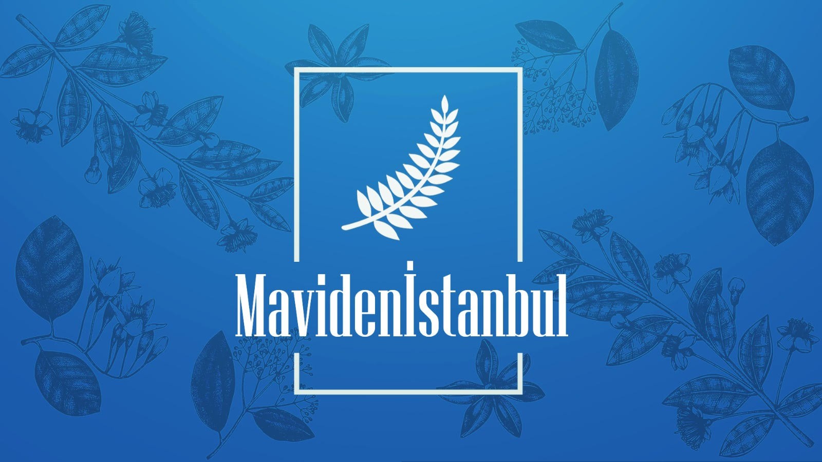 mavidenistanbul