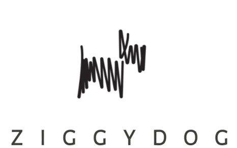 ziggydog