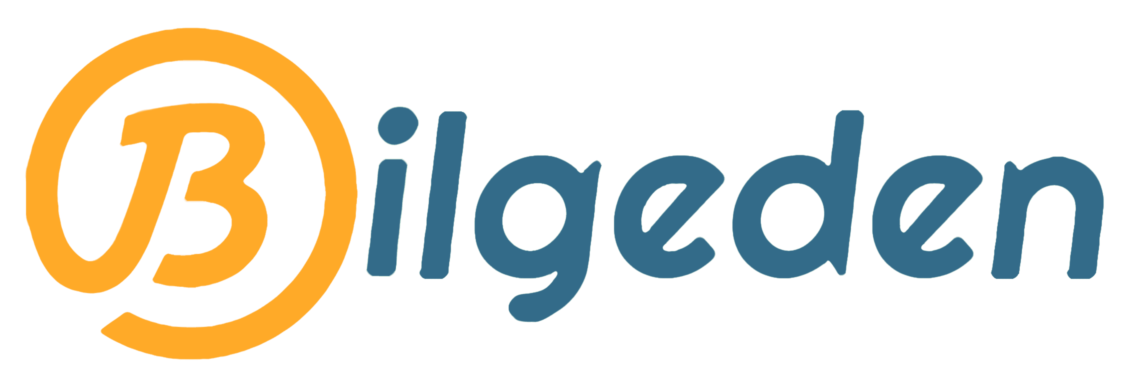 bilgedenn