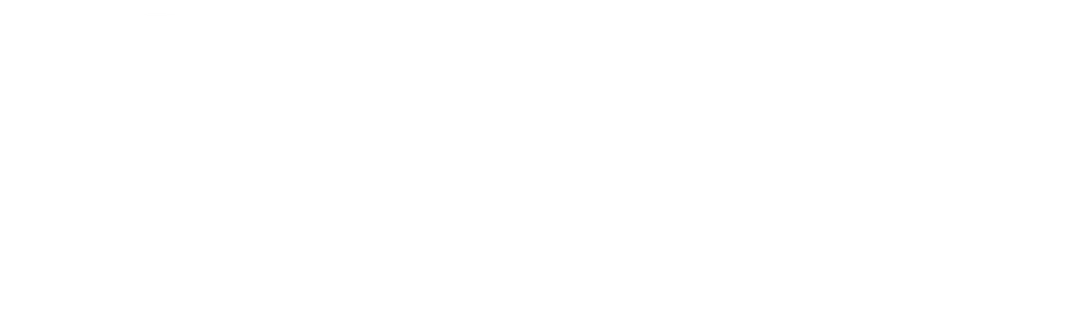 footer-logo